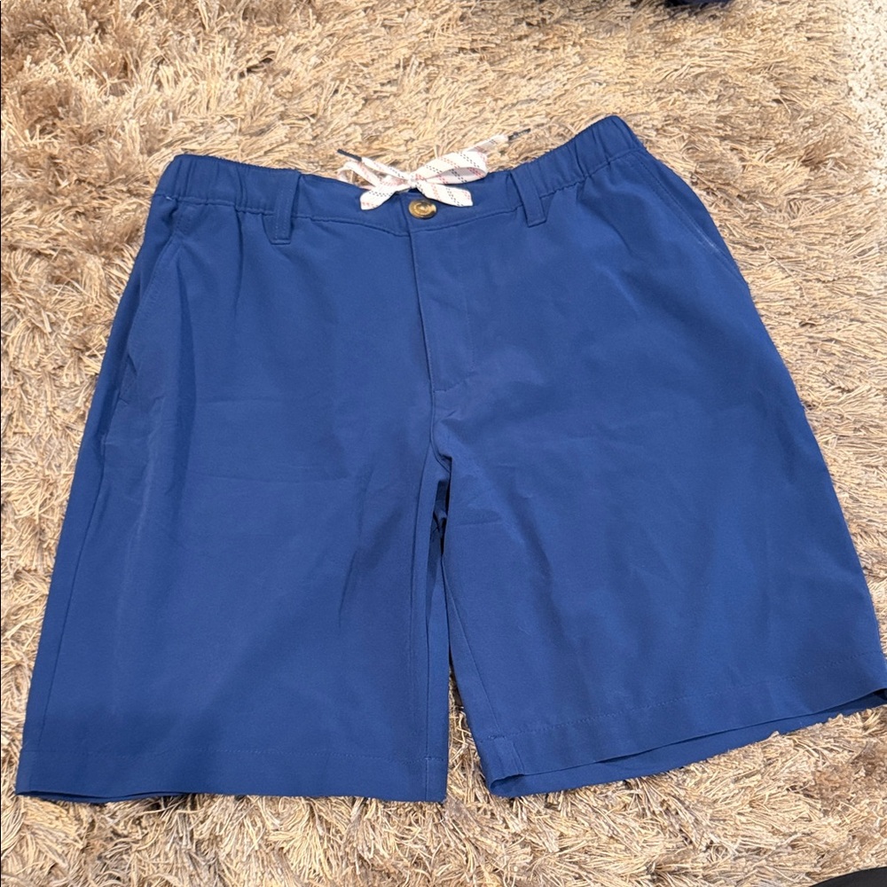 Blue Chubbies Shorts